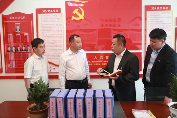 檢查指導支部黨建工作_副本.jpg