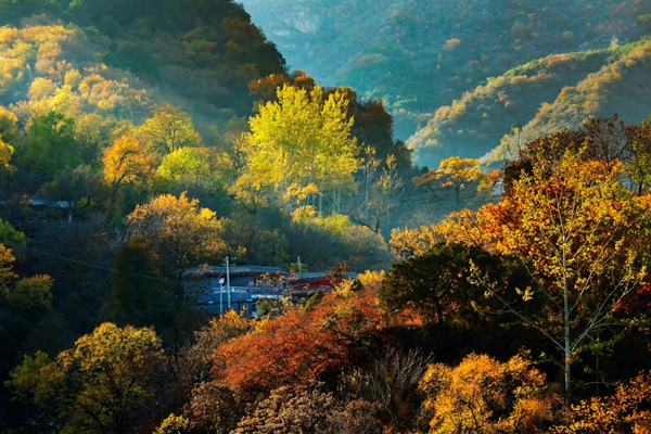 秋日隨想_副本.jpg