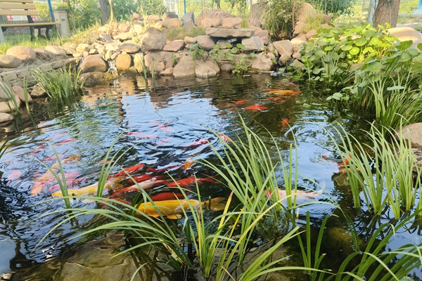 職工自建生態(tài)水池_副本.jpg