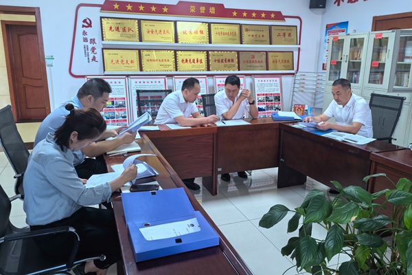 2 專項監(jiān)督檢查_副本.jpg