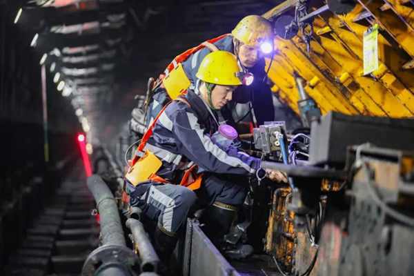 1772164373784505.jpg d.jpg