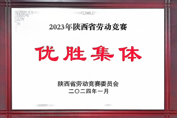 2024年1月，公司榮獲陜西省勞動(dòng)競(jìng)賽優(yōu)勝集體.jpg